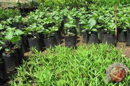 Petani organik disubsidi Rp1 juta/bulan