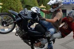 FREE STYLE