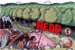 Jambi jadi "pilot project" REDD+