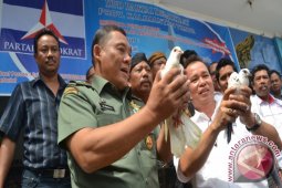 Daftar Ke Partai Demokrat