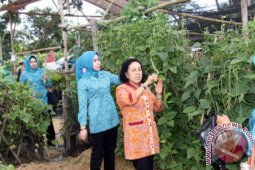 MENGUNJUGI KEBUN