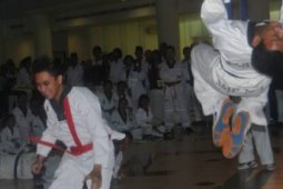 Atraksi Taekwondo