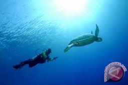 Berau Gelar Lomba Foto Bawah Laut