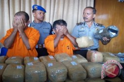 Polisi Gagalkan Peredaran Ganja 49,2 Kg
