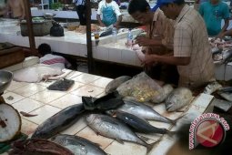 Harga Ikan di Pontianak  Melambung Tinggi