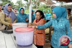 Tanah Bumbu Optimalkan Pekarangan Untuk M-KRPL