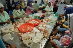 Betahwalang Demak Disiapkan untuk Kawasan Konservasi Rajungan