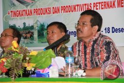 Kukar Optimalkan Usaha Peternakan Sapi