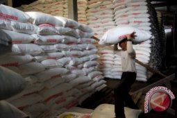 Peningkatan produksi pangan di Babel belum optimal