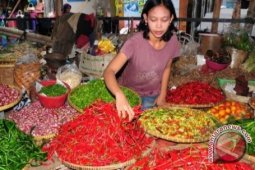 Harga Cabe Rawit Di Pangkalpinang Rp80.000 Per Kg