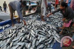 Produk tuna kaleng Indonesia dominasi Saudi