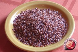 Menjaga Warisan Produksi Beras Merah di Jatiluwih