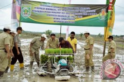 TEKNIK PERTANIAN MODERN