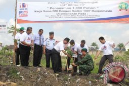 HUT BRI TANAM POHON