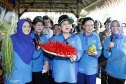 Kabupaten Tapanuli Tengah Siapkan Program Tanam Pohon