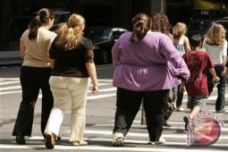 Black tea reduces obesity