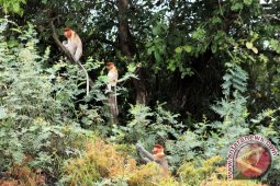 Kukar Tambah Ruang Terbuka Hijau