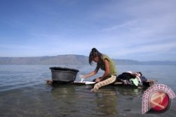 Danau Toba mulai tercemar