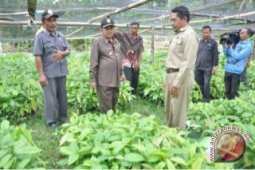 Gorontalo Utara Akan Bangun Lumbung Pangan