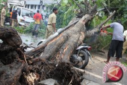 Puting Beliung Terjang Enam Kecamatan