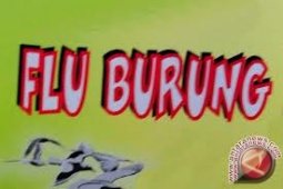 Disnak Kaltim Siagakan Petugas PSDR