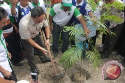 Kementerian Kehutanan Dorong Pengembangan "agroforestry"