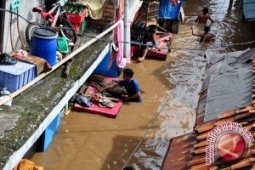 Hujan deras, pohon-pohon di Jakarta tumbang