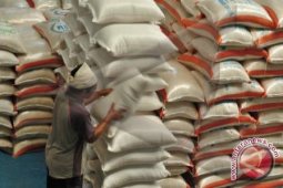 Harga Beras Di Gorontalo Utara Mulai Naik