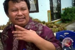 Durian Lokal Bangka Barat Diminati Konsumen