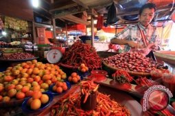 Konsumsi Buah dan Sayuran Metode Detoksifikasi Yang Tepat