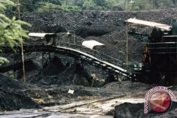 Gubernur: Hentikan Penerbitan Izin Pertambangan, Perkebunan, dan Kehutanan