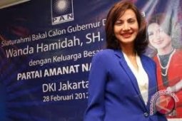 Wanda Hamidah Dipecat PAN