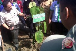 Menhut Canangkan Gerakan Muhammadiyah Kalbar Menanam