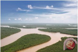 BMKG : Pasang Sungai Mahakam Setinggi 2,2 Meter