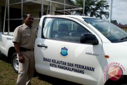 BBIL Pangkalpinang stok 10.000 benih
