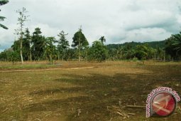SAWAH DI HST KEKERINGAN