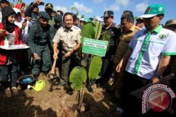 Pindo Deli Tanam 1,7 Juta Pohon
