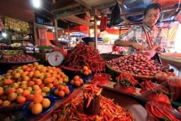 Petani Lampung Siap Isi Pasar Sayur