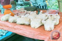 Permintaan daging ayam di Bengkulu berkurang
