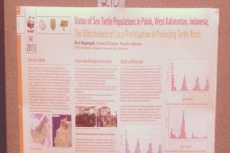 Penyu Paloh Dipresentasikan di Simposium Internasional
