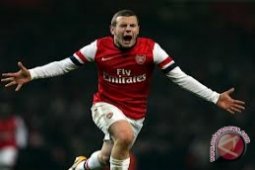 Gerrard antusias dengan wilshere