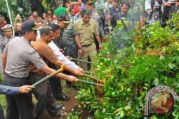 Warga Harapkan Ganti Rugi Pemusnahan Tanaman Khat