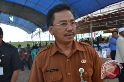 Lahan Persawahan Potensial di Nunukan 46.000 hektare