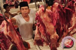 Stok Daging Sapi Di Babel 11,16 Ton