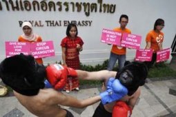 STOP TINJU ORANGUTAN