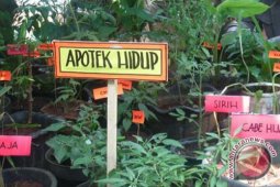 Kebun Raya Banua Pelestarian Tumbuhan Berkhasiat