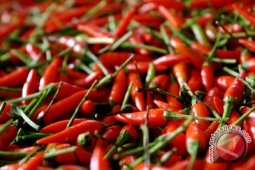Faktor Cuaca Sebabkan Harga Rempah-rempah Melonjak