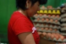 Pelaku Ukm Gorontalo Dibantu Urus Sertifikat Tanah
