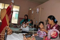 Satu Pasien DBD Di Melawi Meninggal