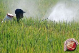 Memilih Mandiri dengan Bertani